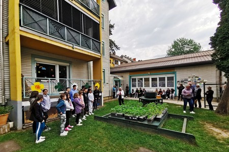 Zelenjavne sadike in projekt »Varno in spodbudno učno okolje« (6)